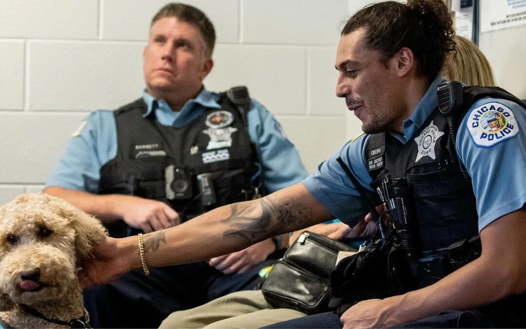 Therapy dogs help Chicago police relieve overwhelming stress of the job