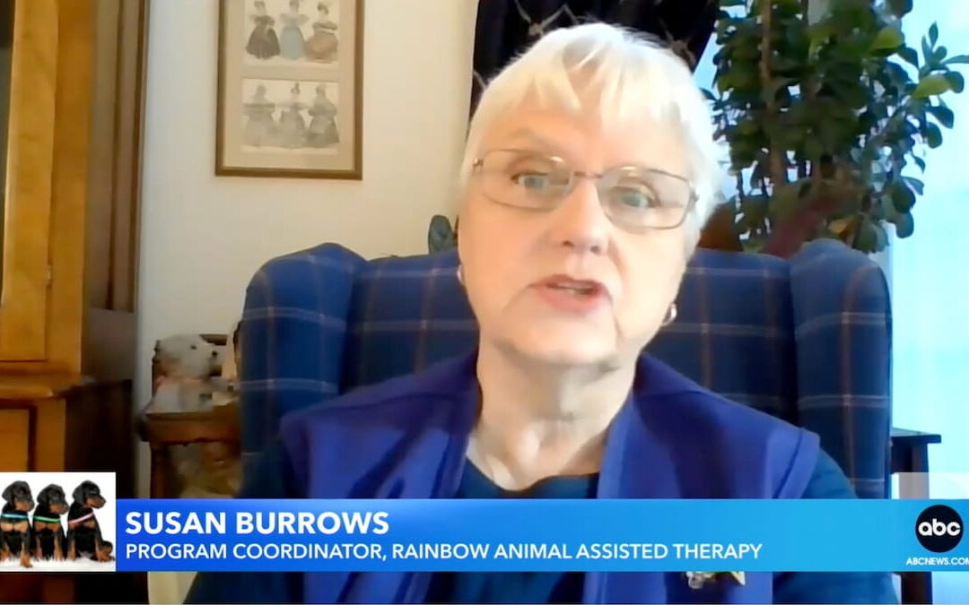 Playing with dogs could make you happier, study finds