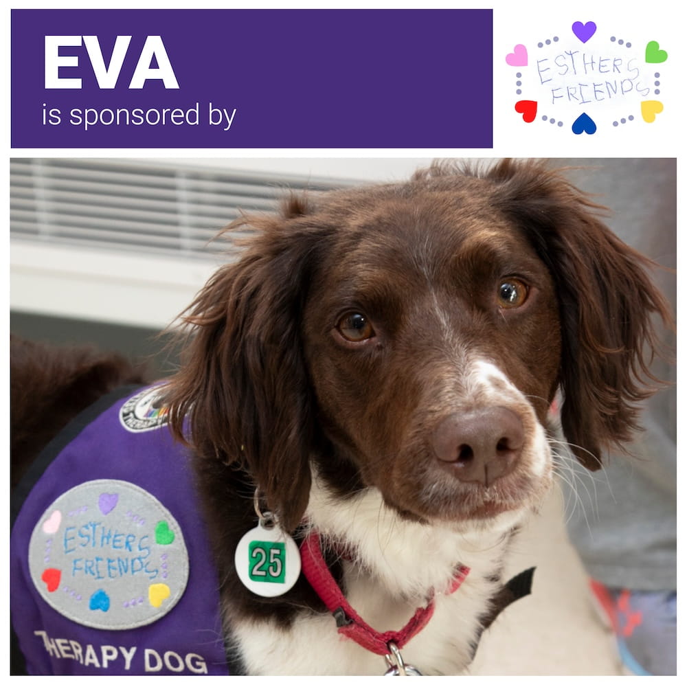 Eva (Sponsored)