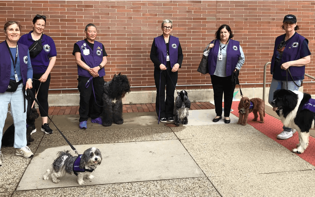 Where emerging readers find a judgment-free audience, one wagging tail at a time
